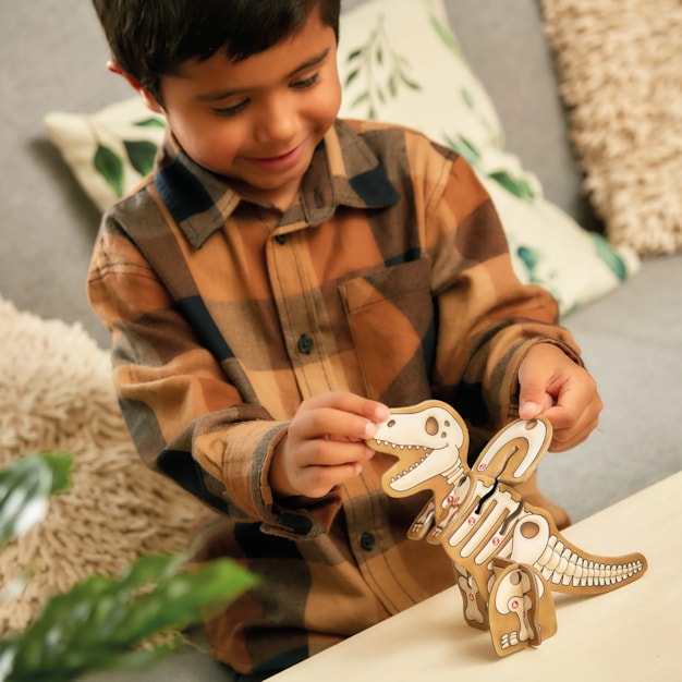 Dinosaur Dig Game Dinosaur Dig Game
