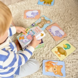See and Sound giant flashcards