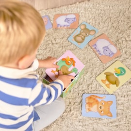See and Sound giant flashcards