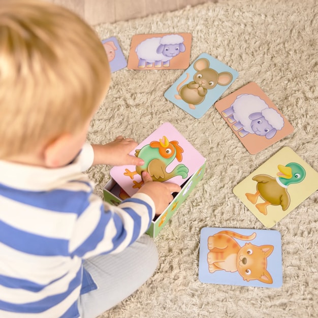 See and Sound giant flashcards