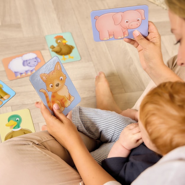 See and Sound giant flashcards