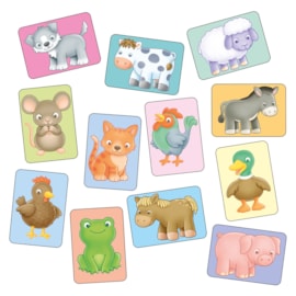 See and Sound giant flashcards See and Sound giant flashcards