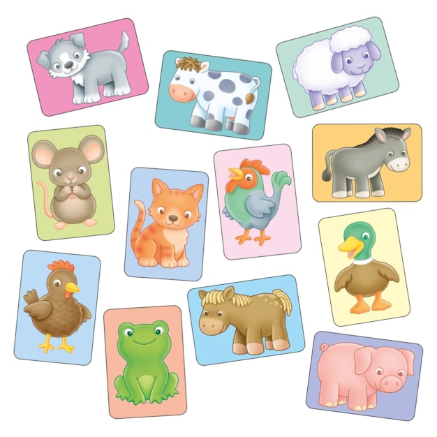 See and Sound giant flashcards See and Sound giant flashcards