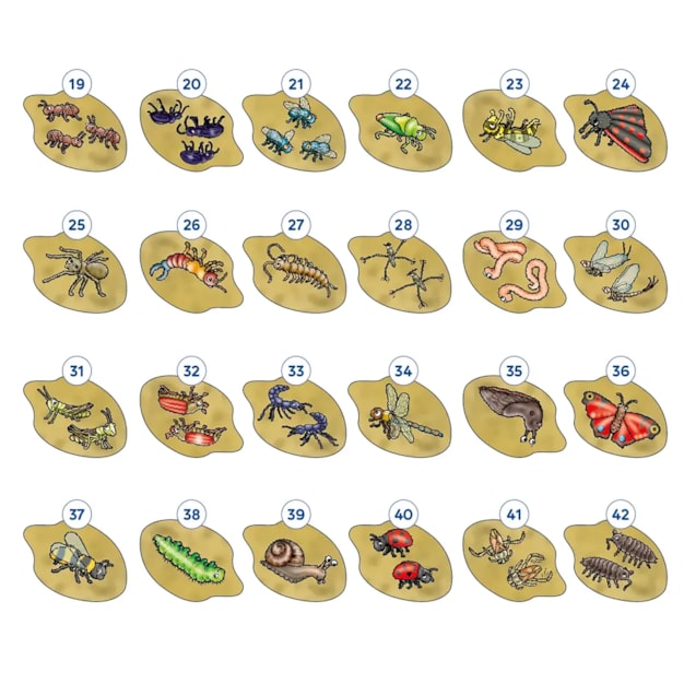 Bug Hunters Game Misplaced Pieces