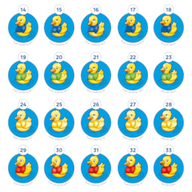 Five Little Ducks Misplaced Pieces 2