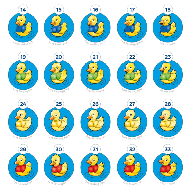 Five Little Ducks Misplaced Pieces 2