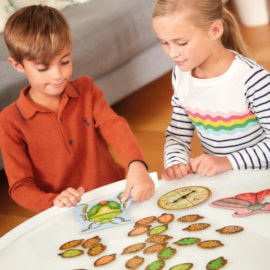 Bug Hunters Game Bug Hunters Game