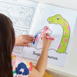 Dinosaurs Colouring Book