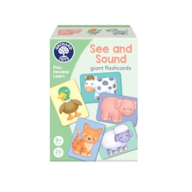 See and Sound giant flashcards