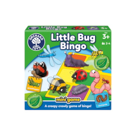 Little Bug Bingo Mini Game Little Bug Bingo Mini Game