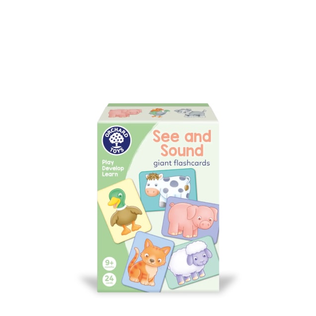 See and Sound giant flashcards