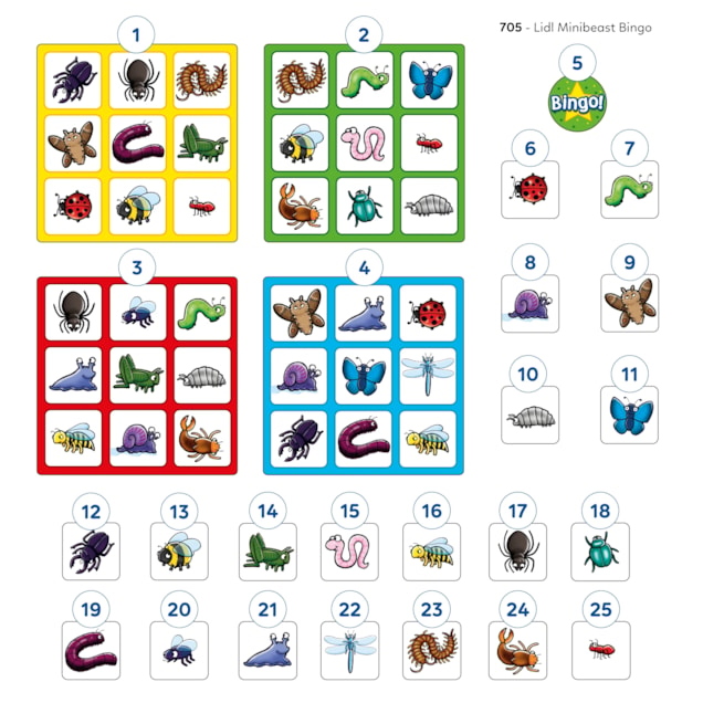 Minibeast Bingo Game Misplaced Pieces Minibeast Bingo Game Misplaced Pieces