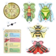 Bug Hunters Game Misplaced Pieces Bug Hunters Game Misplaced Pieces