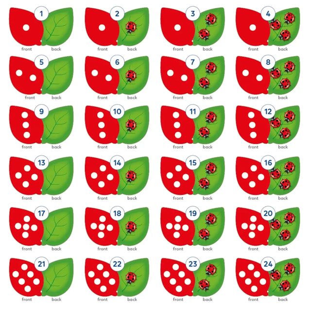 The Game of Ladybirds Misplaced Pieces